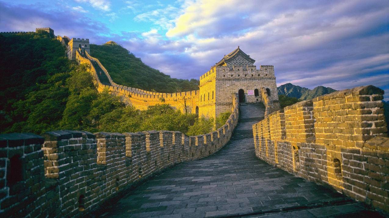 网红商城